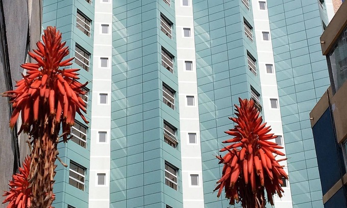 Antofagasta Hotel | Hotel Costa Pacifico - Suite