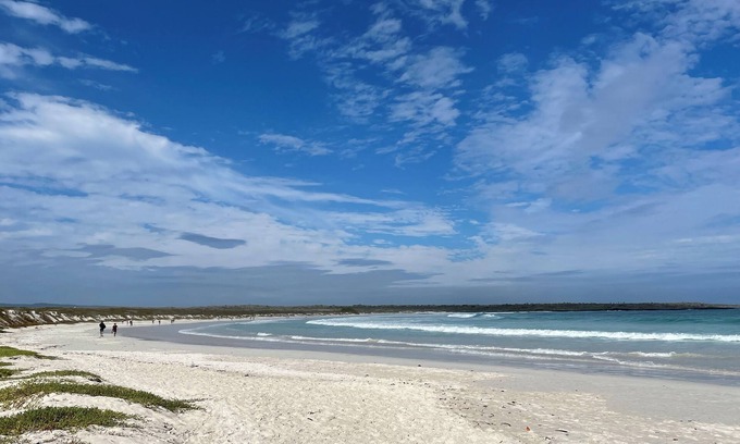 Bahía de la Academia Hotel | Hotel Galapagos Suites