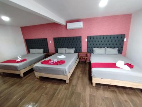 Antón Lizardo Hotel | Hotel La Intimidad