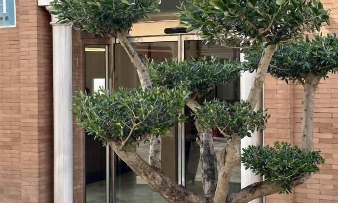 Centro histórico de Mérida Hotel | Hotel Nova Roma