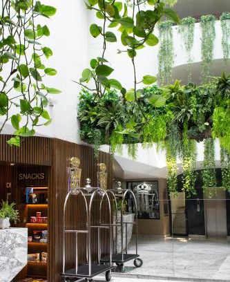 Reynosa Hotel | Hotel Posada San Antonio