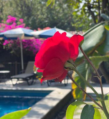 Santa María Hotel | hotel quinta real las palmas malinalco