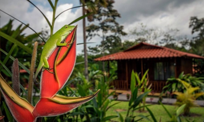 La Fortuna Cabina | Hotel Rancho Cerro Azul