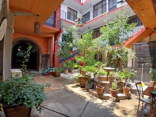 Zona Centro Apartamento | HOTEL SARITA & APARTAMENTOS CENTRO histórico