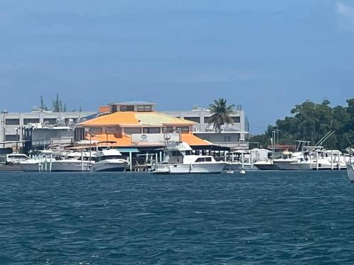 Aguirre Hotel | Hotel Vista Bahia & Marina