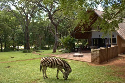 Hoedspruit Villa | House On Blyde