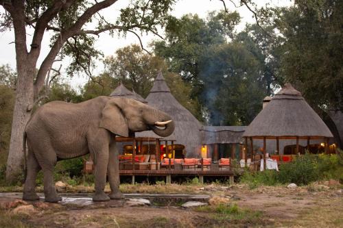 Kruger National Park Cabina | Hoyo Hoyo Safari Lodge