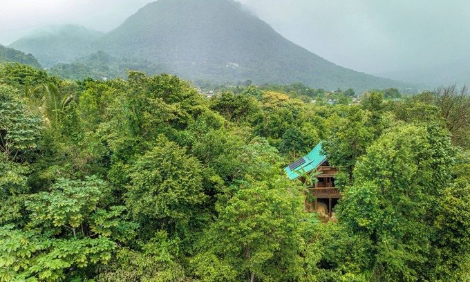 Roseau Cabina | Hummingbird Haven