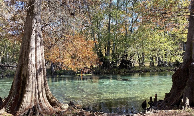 Branford Casa | Tubería los ríos Ichetucknee y Santa Fe