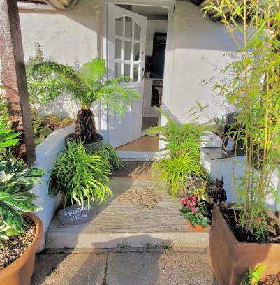 Truro Casa | Idyllic Cornish Cottage, Superking bed, private garden dogs welcome