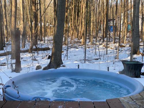 Fennville Casa | In the Trees- Relaxing getaway with hot tub! 400ft to private Lake Access!