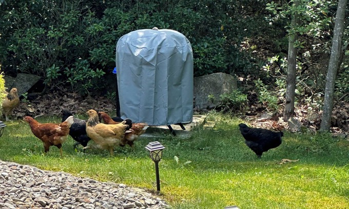 Effort Apartamento | Irie Comfort