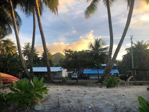 Kosrae Hotel | Island Hopper