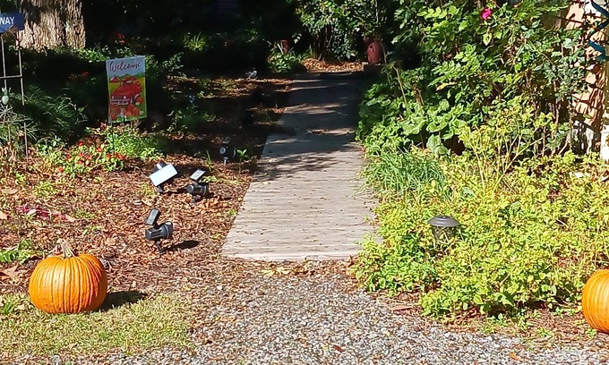 Wanchese Cama Y Desayuno | Island House of Wanchese