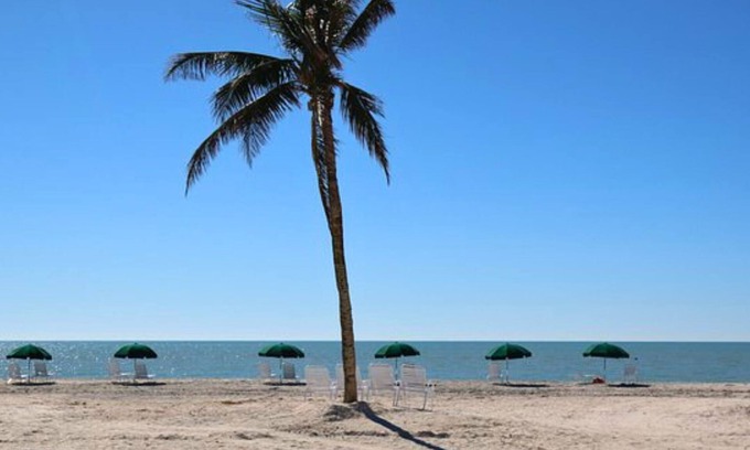 Sanibel Apartamento | Island Inn