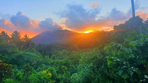 Tanna Island Cama Y Desayuno | island paradise bungalows