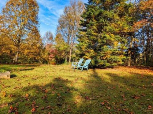 Blairsville Casa | Jacuzzi, Fireplace, Nature, Views, Peaceful, Patio