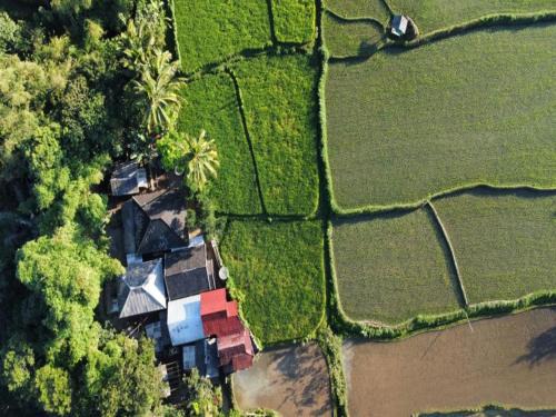 Tetebatu Casa | Jonny's Places