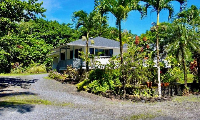 Keaau Cabaña | Jungle Cottage: Watch Whales
