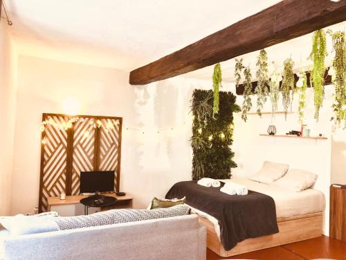 Nimes City Centre Apartamento | JUNGLE Hyper Centre