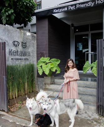 Chiang Mai Hotel | Ketawa Pet Friendly Hotel