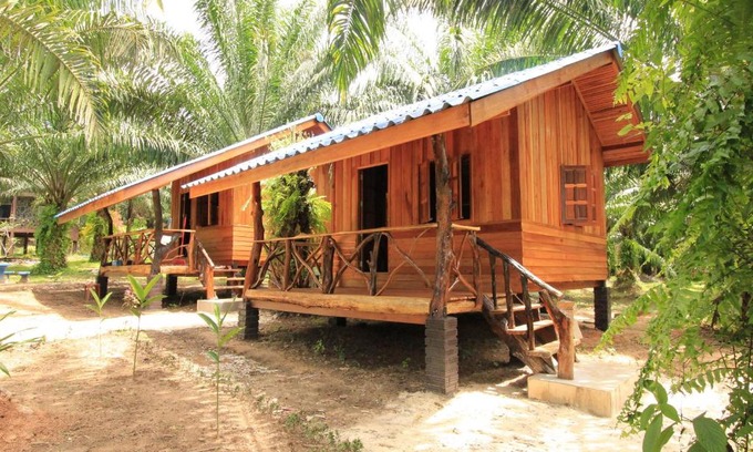 Khlong Sok Complejo | Khao Sok Palmview Resort