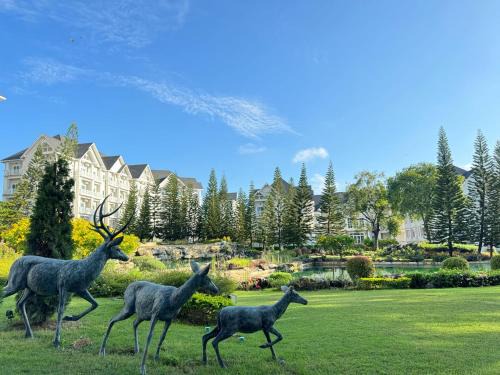 Nong Nam Daeng Apartamento | Khaoyai Tiew Khao Family Room 2to4 People B02