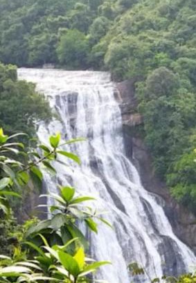 Pelmadulla Hotel | Kirindi Ella Eco Resort