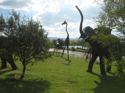 Thaba Chweu Cama Y Desayuno | Klitzgras Chalets