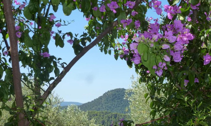 L'Escarene Cama Y Desayuno | L'Origane