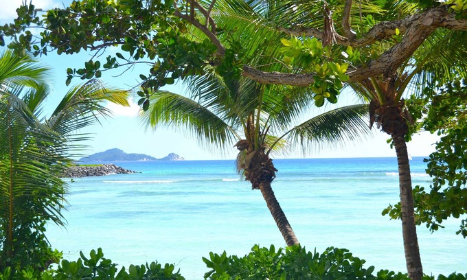 Silhouette Island Cabina | La Belle Tortue