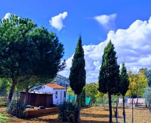 Guadalcanal Casa | La casita del Abuelo