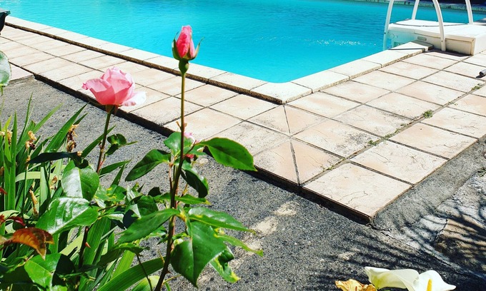 Sainte-Severe Casa | La fontenelle furnished rental with swimming pool in the heart of Cognac vineyards