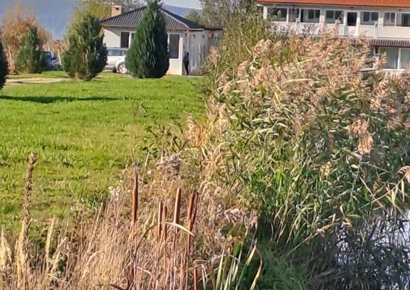 Voila Casa | La Izvoare Pensiune-Păstrăvărie