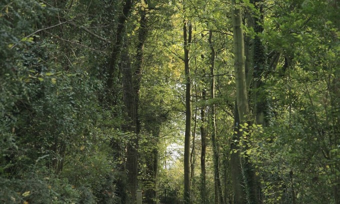 Fatouville-Grestain Cabaña | NORMANDE DE GRESTAIN