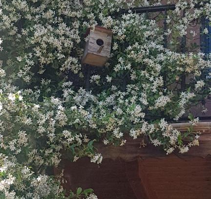 Matienzo Casa | LA TORRE DE CUBILLAS