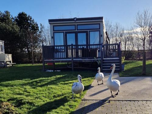 Flookburgh Casa | Lake District Willerby Vogue Lodge, Lake View on Haven Lakeland Gold Grade