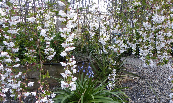 Hamilton Otro | Lake Hamilton Motor Village & Caravan Park