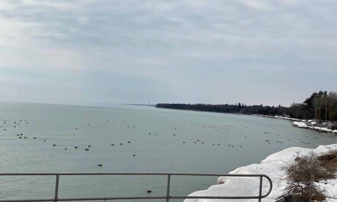 Northumberland County Apartamento | Lakeside Breeze