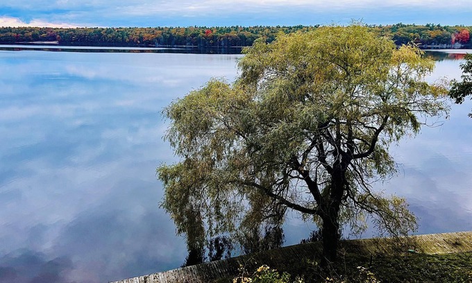 Whitehall Casa | Lakeside Retreat - Peak Fall Colors, Fire Pit, Hiking, Near Lake MI