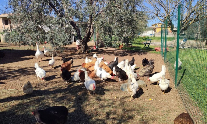 Fiano Romano Apartamento | Large detached apartment in the countryside.