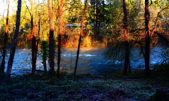 Mill City Casa | ¡Casa grande para familias en el río Santiam con puerta Hobbit!