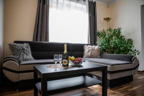 Gostycyn Villa | Leśny Azyl Bory Tucholskie