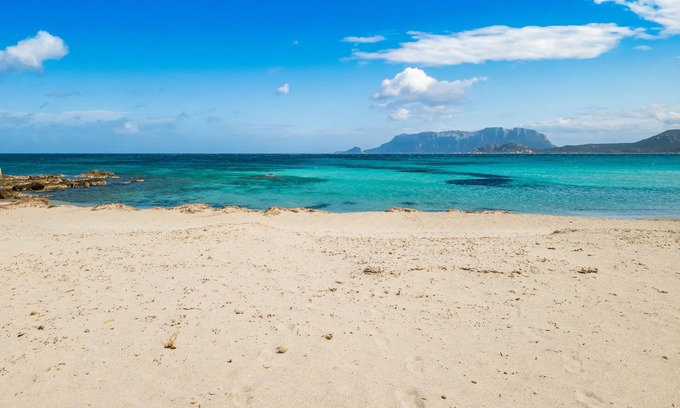 Pittulongu Apartamento | Le Dimore di Nettuno 3 With Pool