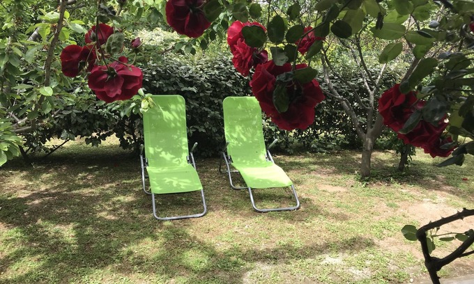 Macinaggio Apartamento | "Le verger": bonito apartamento de 1 dormitorio (60 m²), tranquilo, cerca del centro y las playas