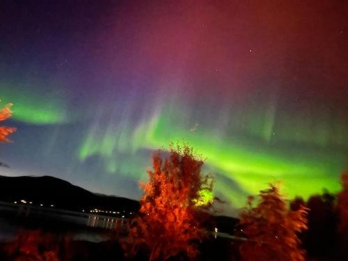 Tromso Apartamento | Leilighet på toppen av Tromsøya