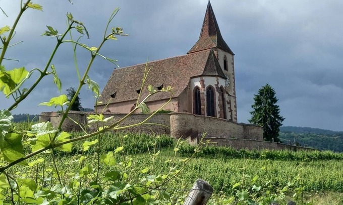 Hunawihr Apartamento | LES Cigognes Grand Duplex sur la Route des Vins