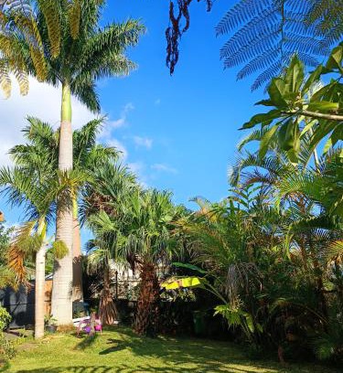 Saint-Leu Apartamento | LEU MYOSOTIS Studio dans les Hauts de Saint-Leu Réunion
