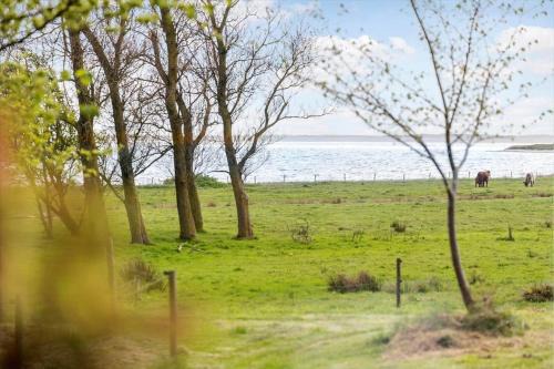 Nykobing Mors Casa | LF13172-Nykobing-M-Strandvaenget-76