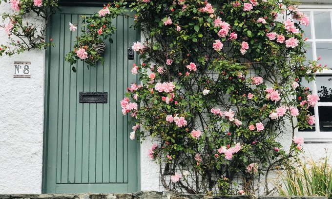 Greyabbey Cabaña | Lilac Tree Cottage, Greyabbey, Strangford Lough, Co Down, N.Ireland